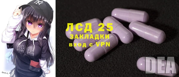 хмурый Аркадак
