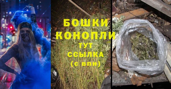 гашик Осташков