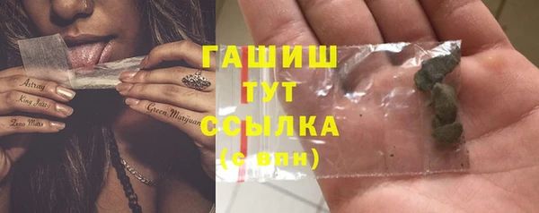 гашик Осташков