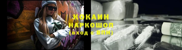 гашик Осташков