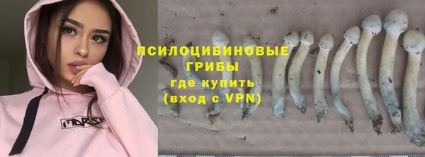 mdma Осинники