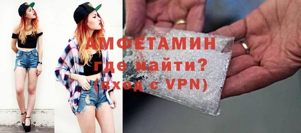 хмурый Аркадак