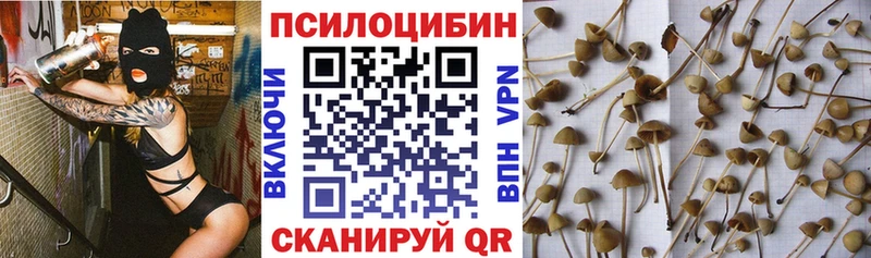 Псилоцибиновые грибы Cubensis  Отрадное 